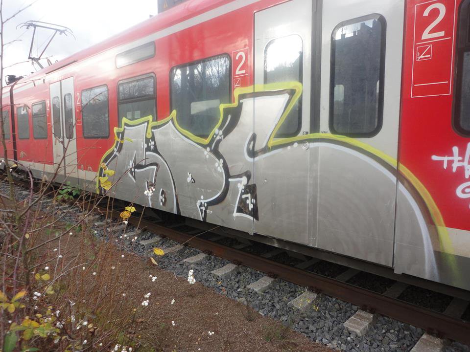 Graffiti Train - Photo by caput79 - cops, crew