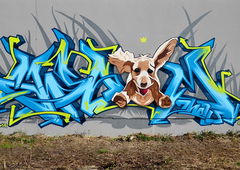 Graffiti Wall in Radebeul - Photo by casom - medusa, casom, sevenhells (2017)