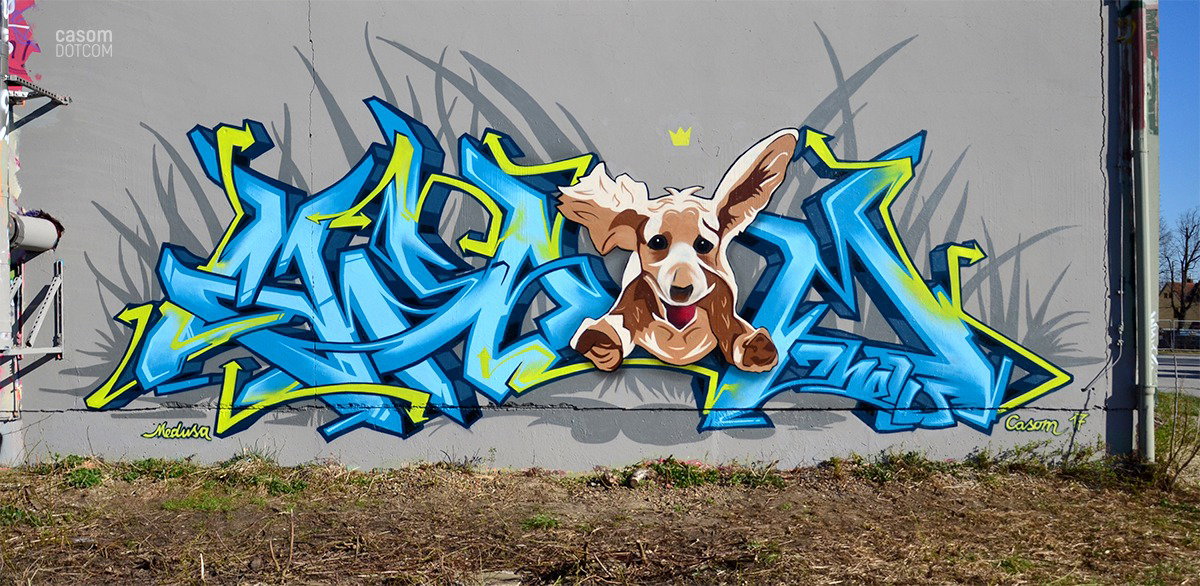 Graffiti Wall in Radebeul - Photo by casom - medusa, casom, sevenhells (2017)