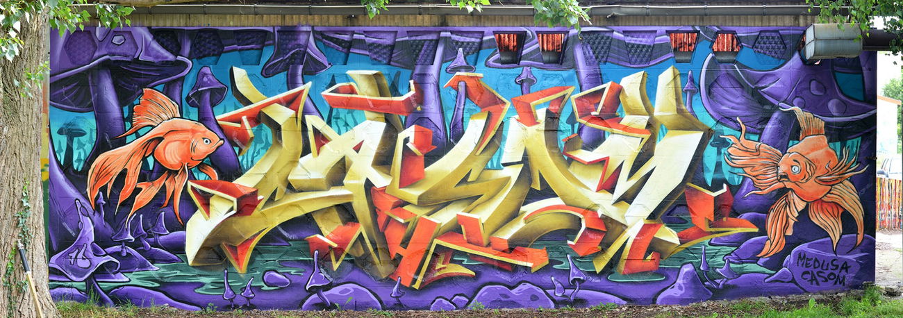 Graffiti Wall in Radebeul - Photo by casom - medusa, casom, seven.hells (2016)