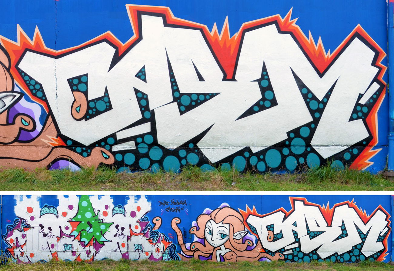 Graffiti Wall in Radebeul - Photo by casom - Casom, Medusa, Boxe (2016)