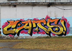 Photo #49050 by Coler