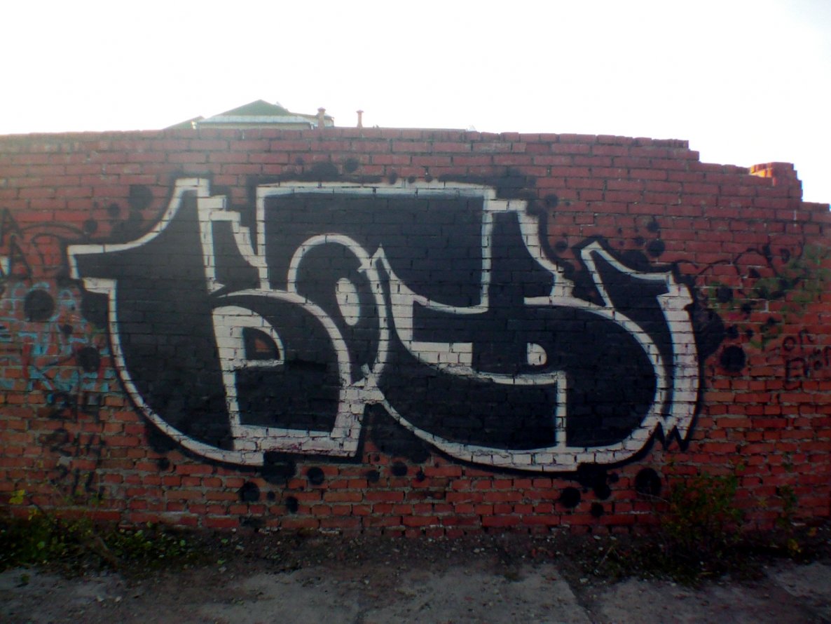 Graffiti Bombing - Photo by cats (2011)