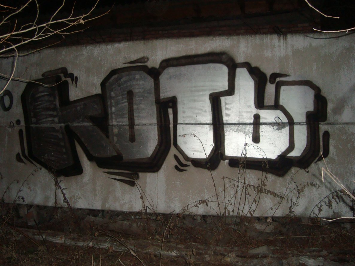 Graffiti Bombing - Photo by cats - cats (2011)