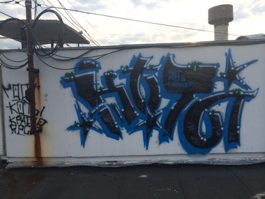 Graffiti Bombing - Photo by cats (2015)