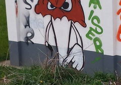 Photo #127755 by Nets1