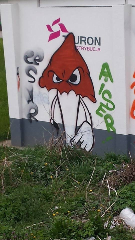 Graffiti Wall - Photo by cesais