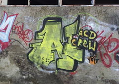 Photo #140232 by TagHagel