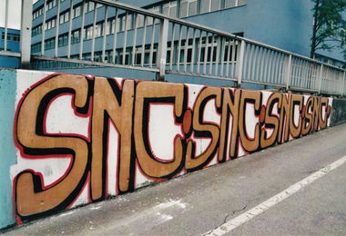 Graffiti Bombing in Innsbruck - Photo by cesar - snc, cesar (2010)