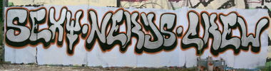 Graffiti Bombing - Photo by cesar - snc (2012)