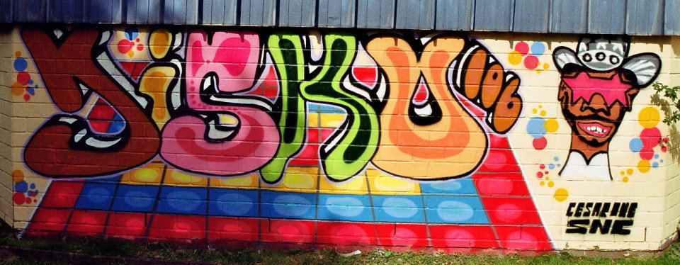 Graffiti Wall - Photo by cesar - snc, cesar