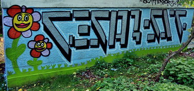 Graffiti Wall - Photo by cesar - cesar, snc (2013)