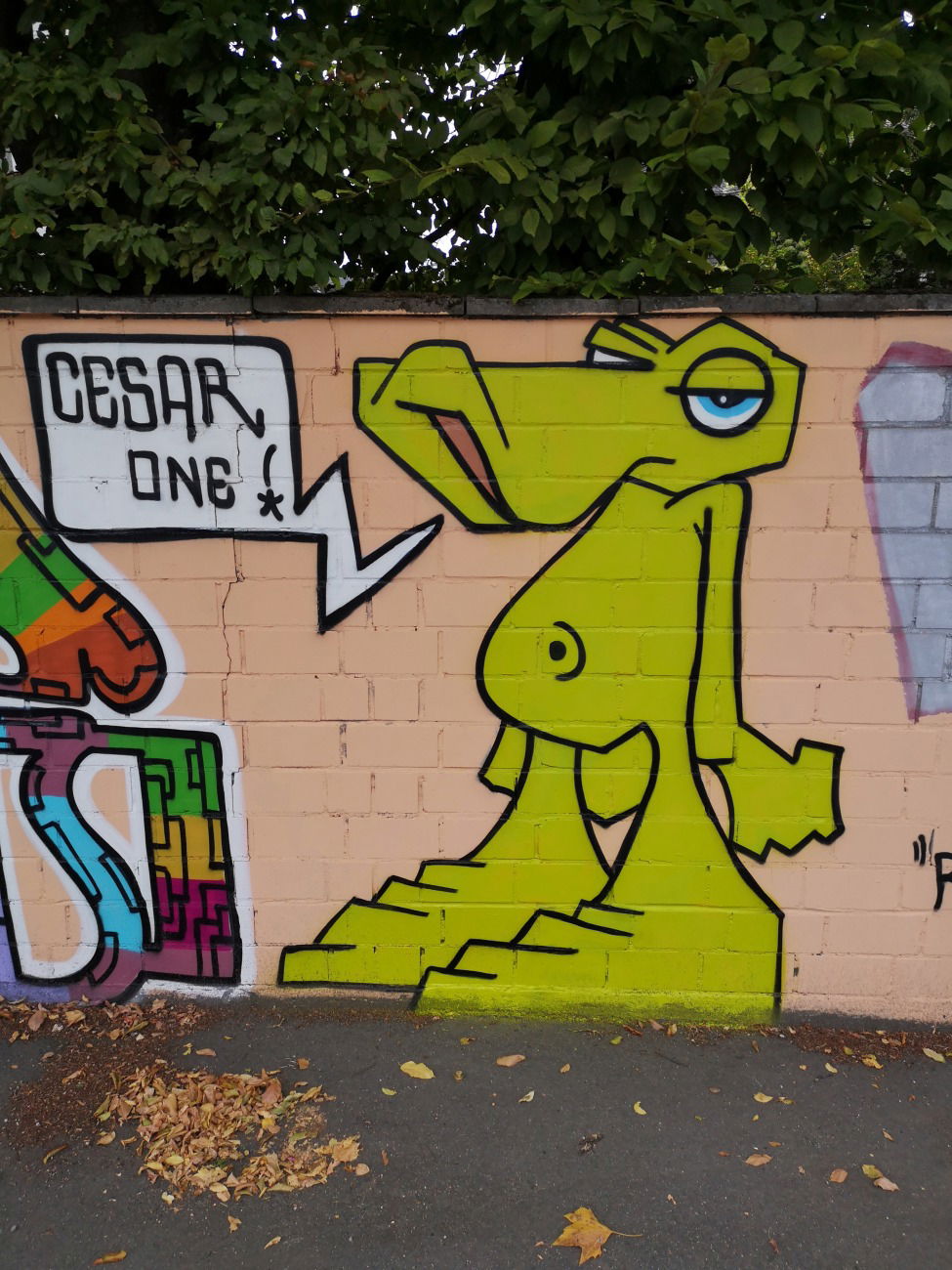 Graffiti Wall in Wiesbaden - Photo by cesar - cesar, cesarone, snc (2018)