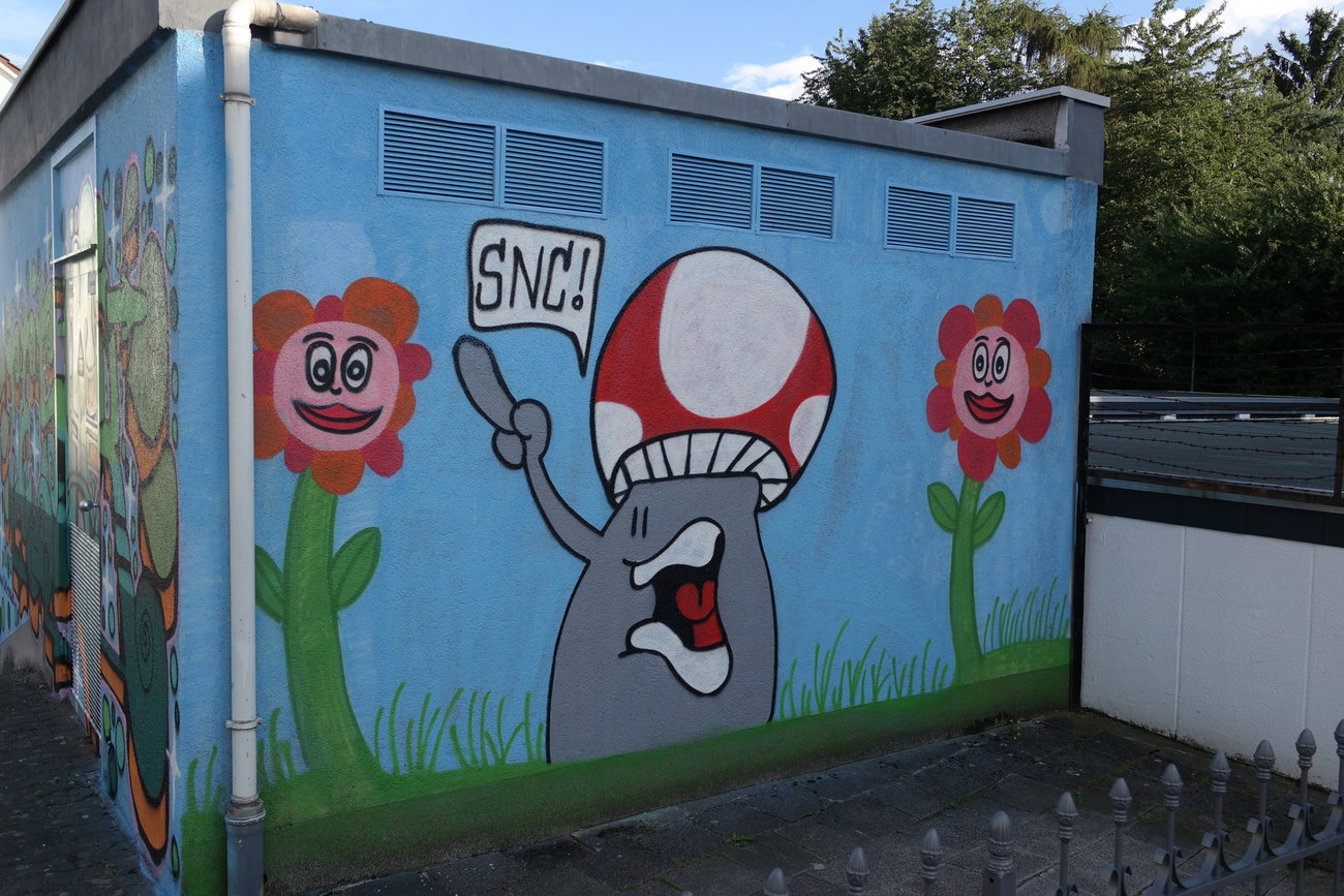 Graffiti Wall in Kriftel - Photo by cesar - cesar, snc (2016)