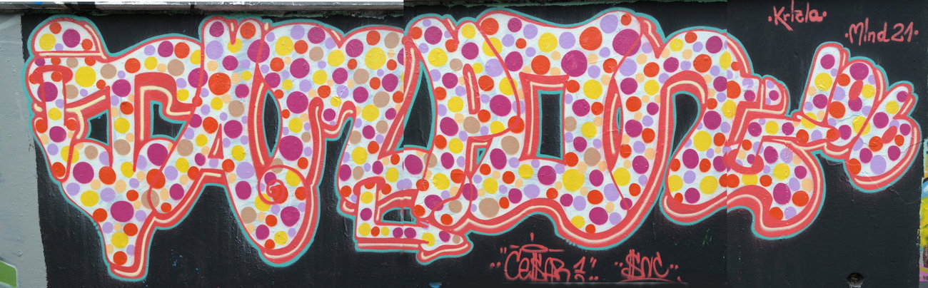 Graffiti Wall in Ingelheim - Photo by cesar - snc, cesar, ingelheim (2015)