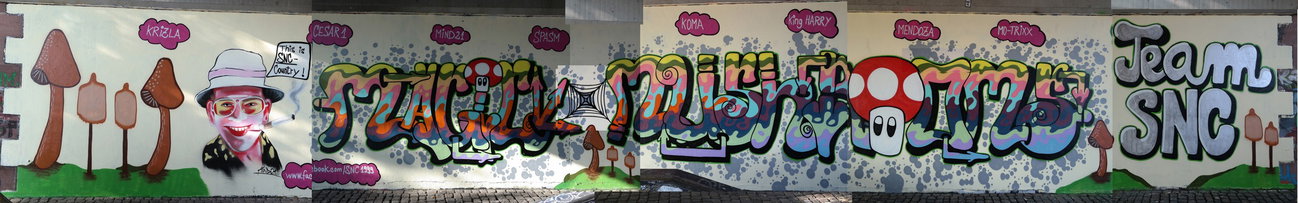 Graffiti Wall in Frankfurt - Photo by cesar - snc, mind21, cesar (2015)