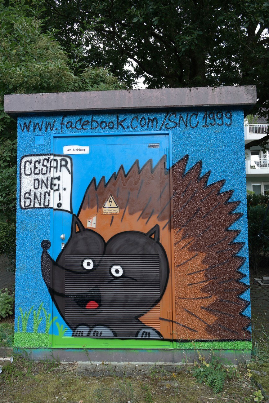 Graffiti Wall in Hofheim am taunus - Photo by cesar - cesar, snc (2016)