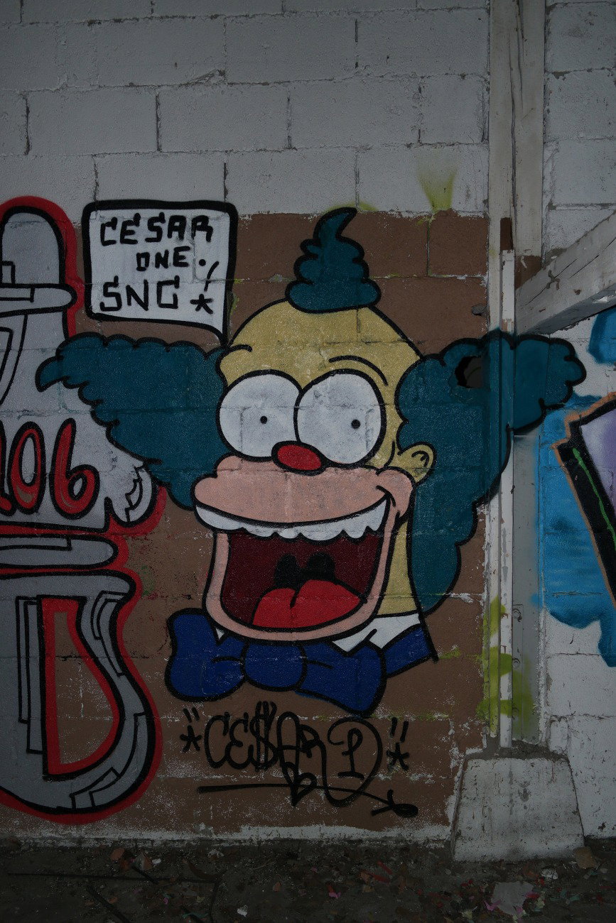 Graffiti Wall in Mainz-kastel - Photo by cesar - cesar, snc, mainz (2017)