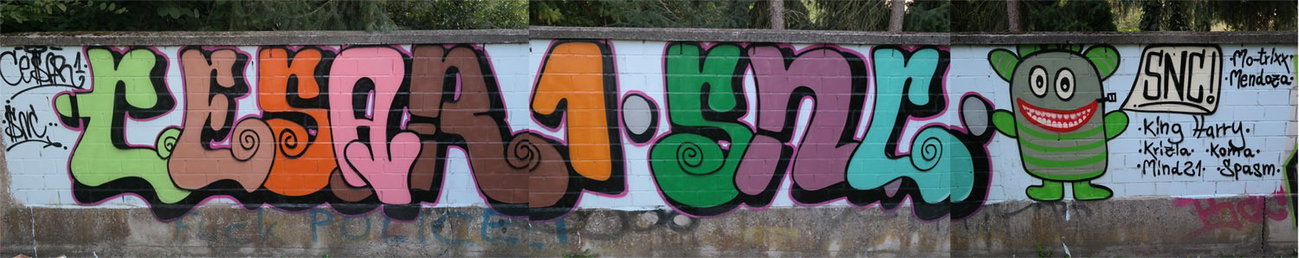 Graffiti Wall in Kandel - Photo by cesar - cesar, snc, cesarone (2015)