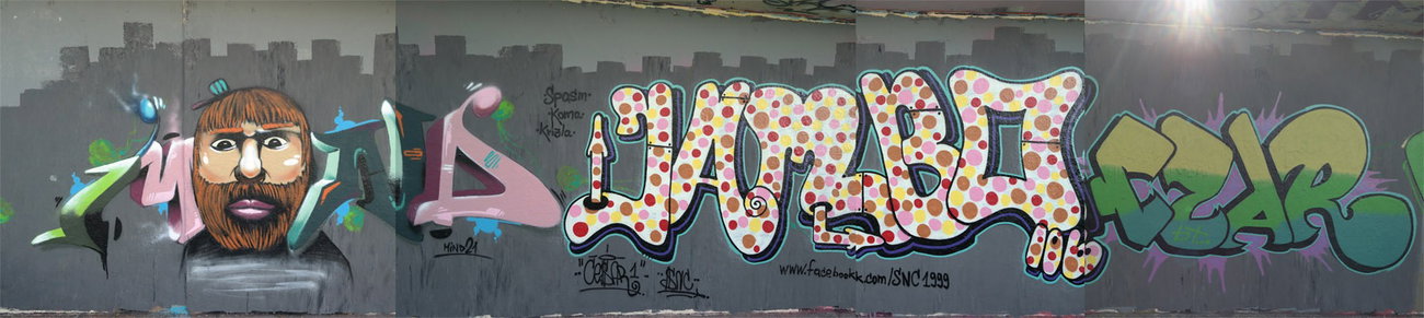 Graffiti Wall in Mainz-kastel - Photo by cesar - cesar, snc, mind21 (2015)