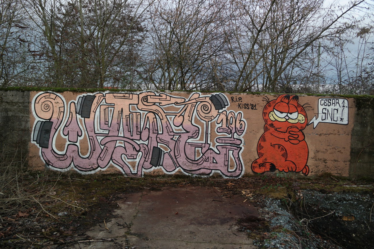 Graffiti Wall in Mainz-kastel - Photo by cesar - cesar, cesarone, snc (2017)