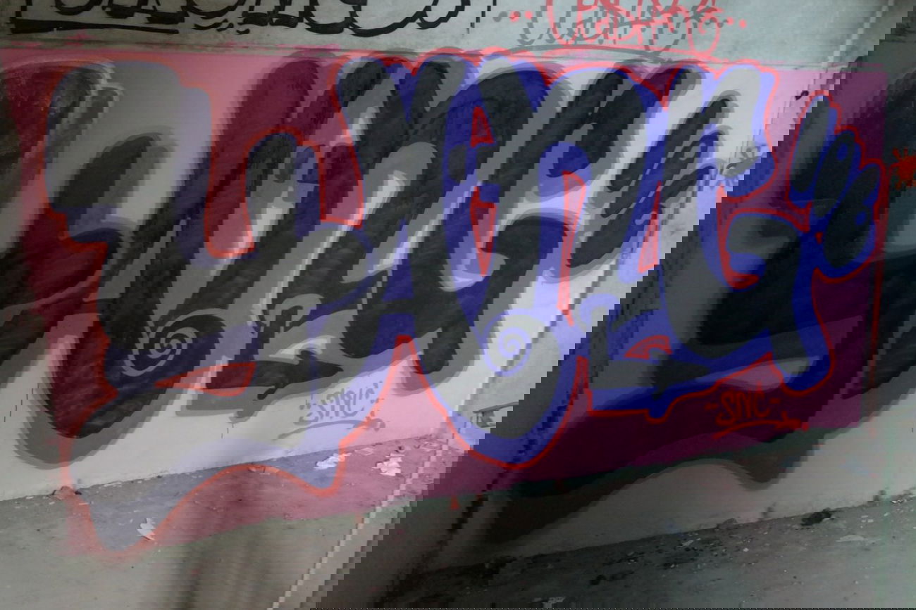 Graffiti Bombing - Photo by cesar - cesar, snc (2015)