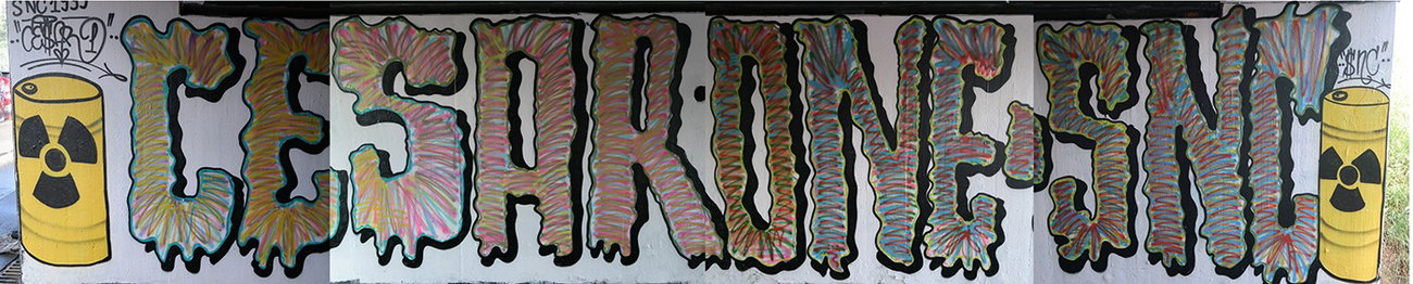 Graffiti Wall in Ingelheim - Photo by cesar - cesar, snc (2017)