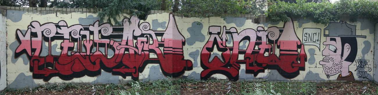 Graffiti Wall - Photo by cesar - cesar, snc (2016)