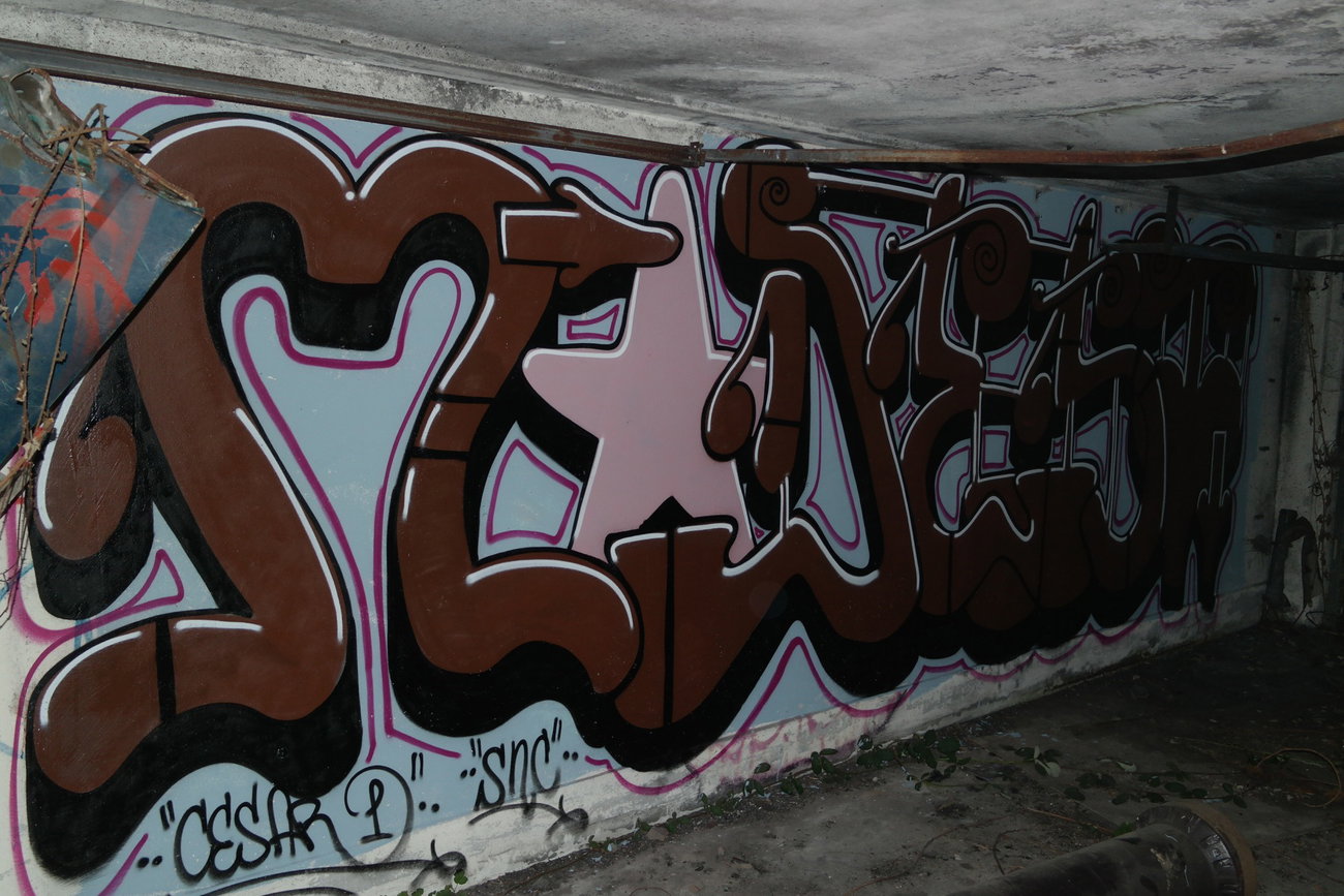 Graffiti Wall - Photo by cesar - cesar, snc (2017)