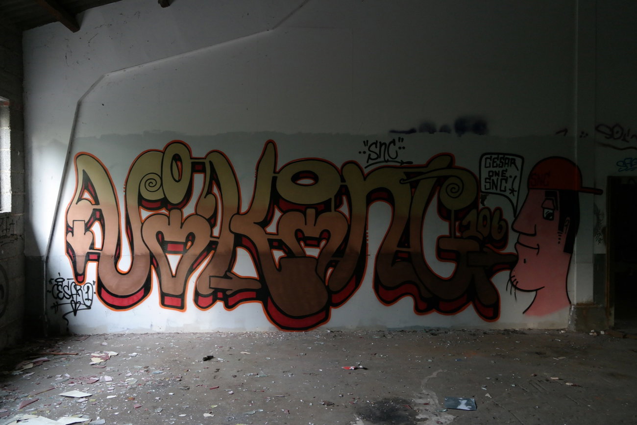 Graffiti Wall - Photo by cesar - cesar, snc (2017)