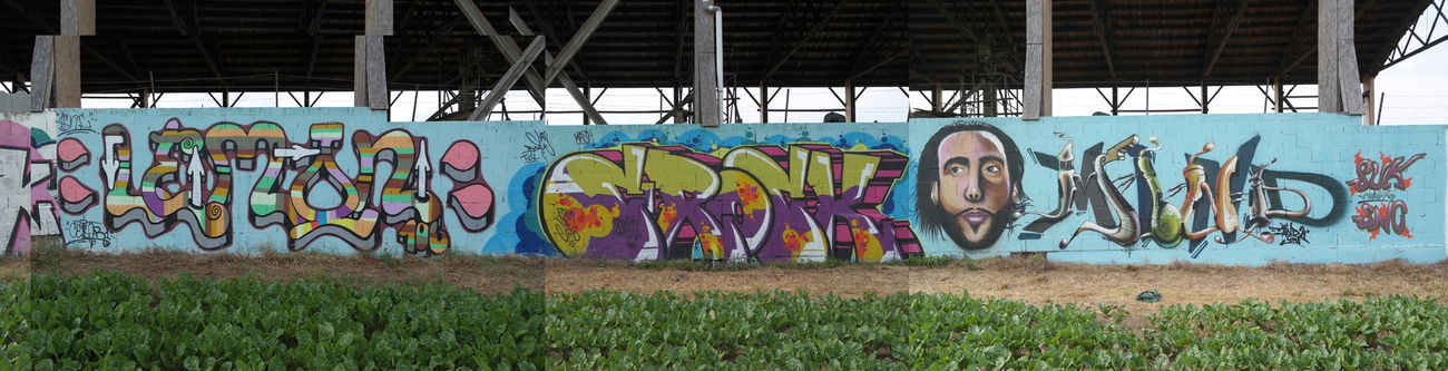 Graffiti Wall in Mainz - Photo by cesar - cesar, snc, mind21 (2016)