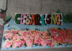 Photo #213897 by Belt