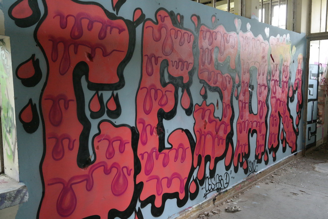 Graffiti Wall - Photo by cesar - cesar, snc (2017)