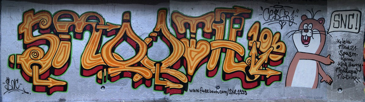 Graffiti Wall - Photo by cesar - cesar, snc (2016)