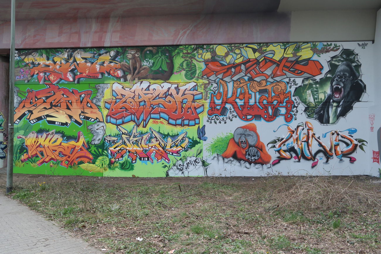 Graffiti Wall in Frankfurt - Photo by cesar - cesar, cesarone, snc (2018)