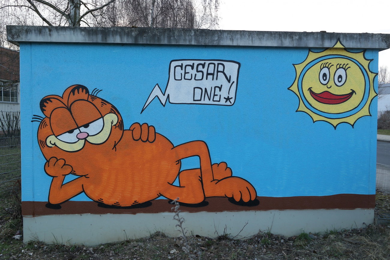 Graffiti Wall in Eschborn - Photo by cesar - cesar, cesarone, snc (2018)