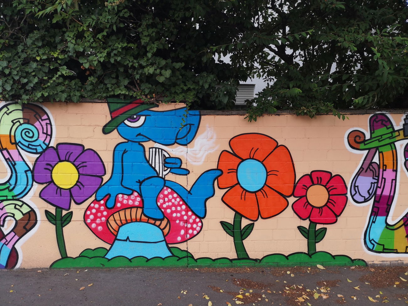 Graffiti Wall in Wiesbaden - Photo by cesar - cesar, cesarone, snc (2018)