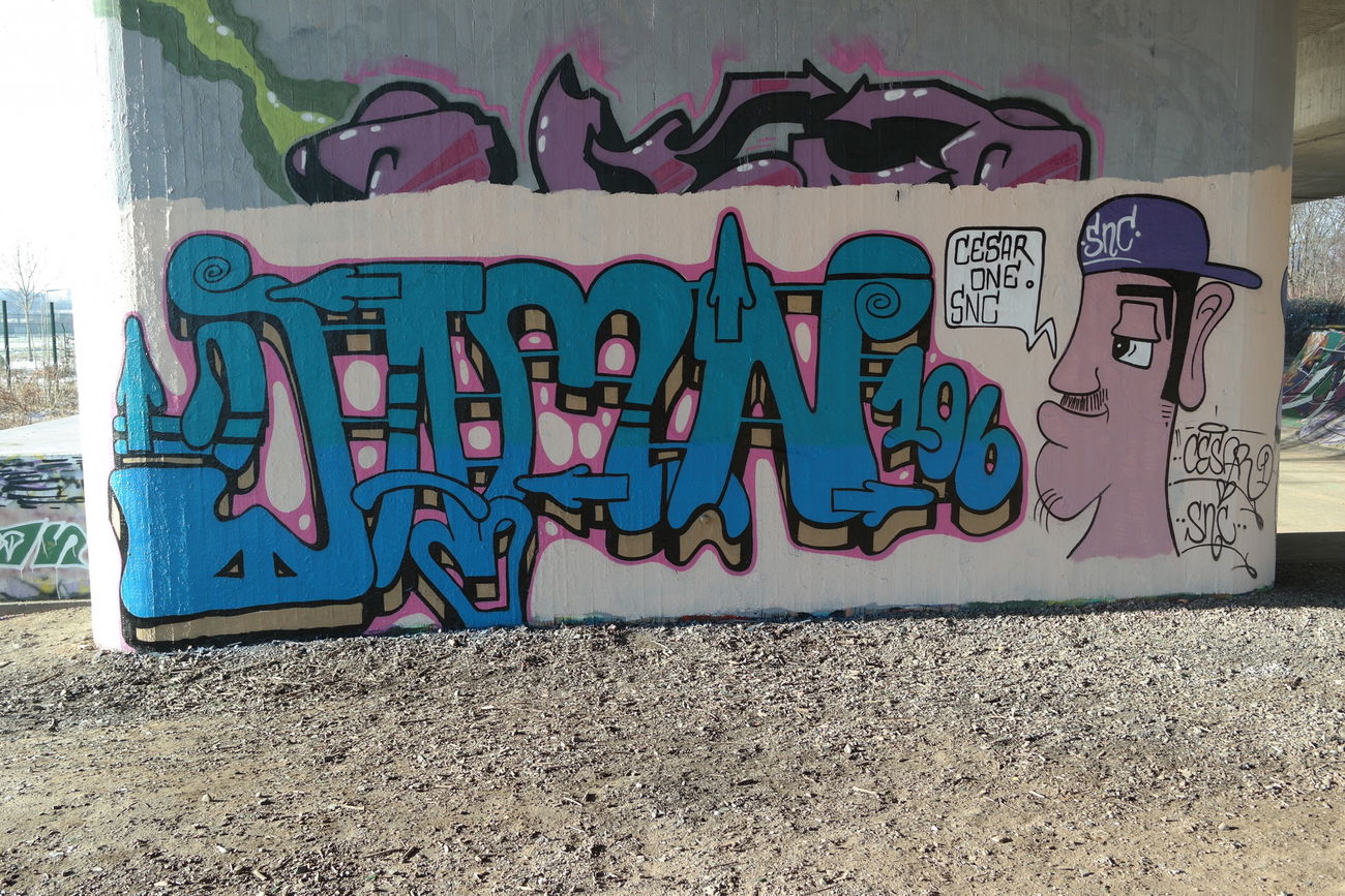 Graffiti Wall in Kassel - Photo by cesar - cesar, snc, kassel (2017)