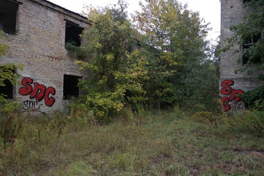 Graffiti Bombing - Photo by cesar (2016)