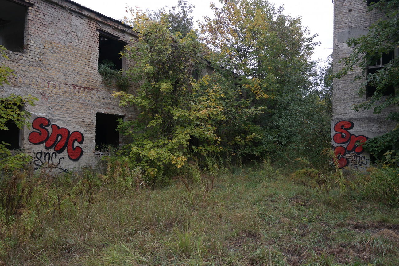 Graffiti Bombing - Photo by cesar (2016)