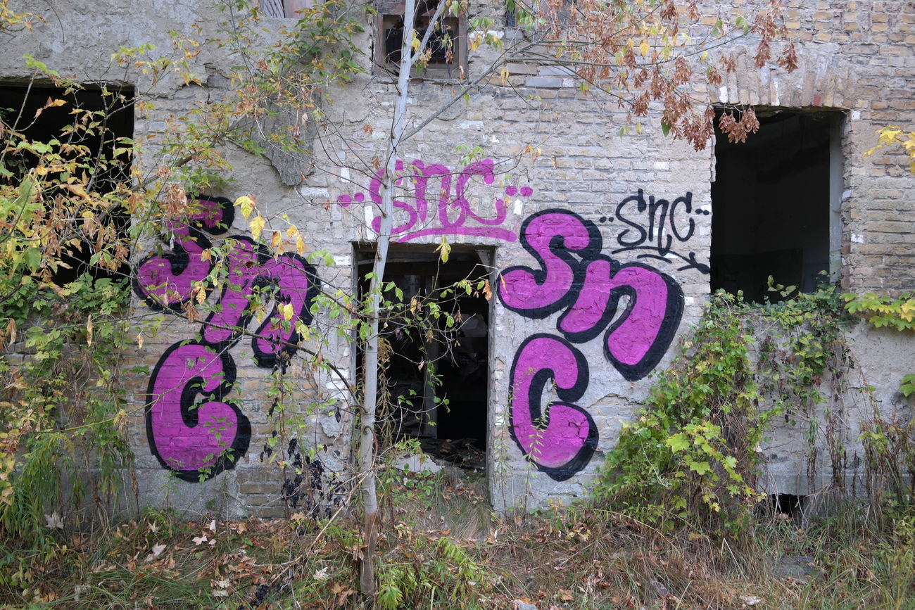 Graffiti Bombing - Photo by cesar (2016)