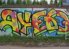 Photo #20999 by tgngrown