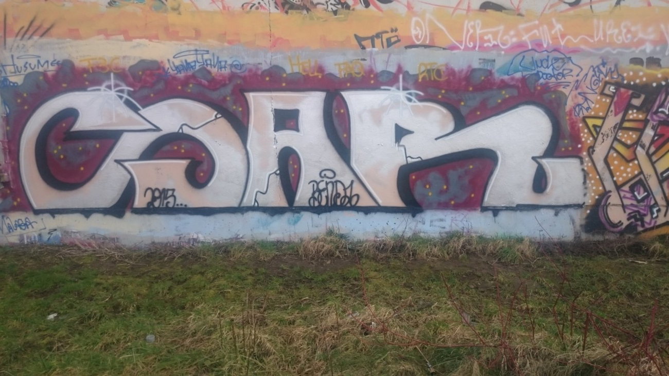 Graffiti Wall in Dresden - Photo by cheesy - sar