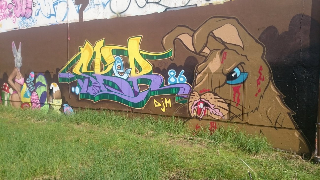 Graffiti Wall in Dresden - Photo by cheesy - sker