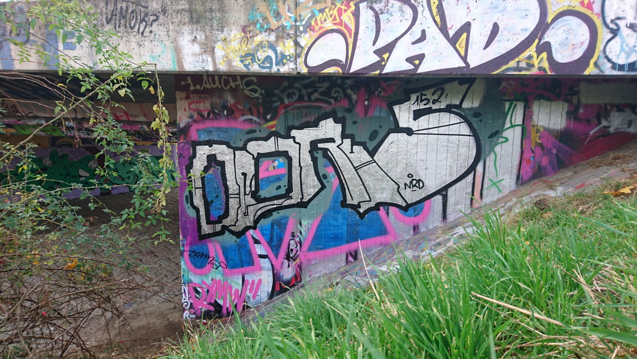 Graffiti Wall in Dresden - Photo by cheesy - Pedrus