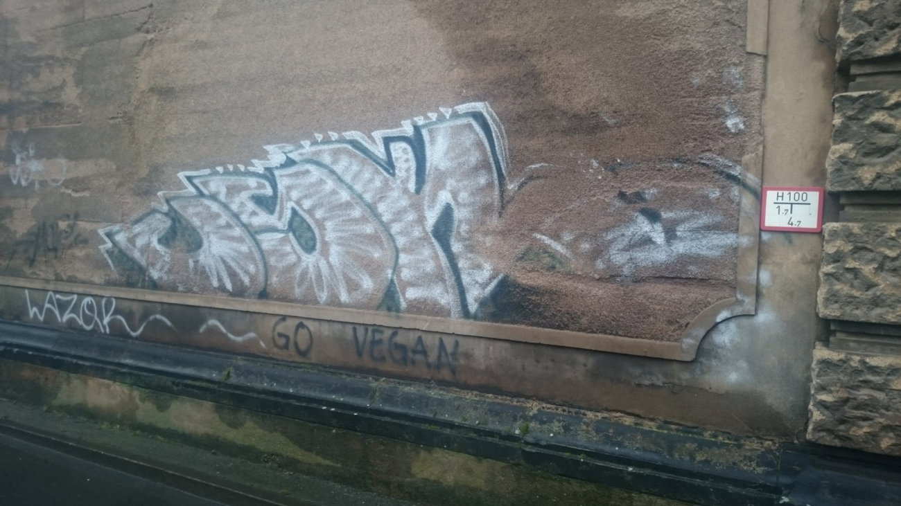 Graffiti Wall in Dresden - Photo by cheesy - usk