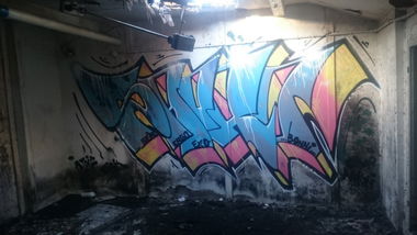 Graffiti Bombing in Dresden - Photo by cheesy - sapro