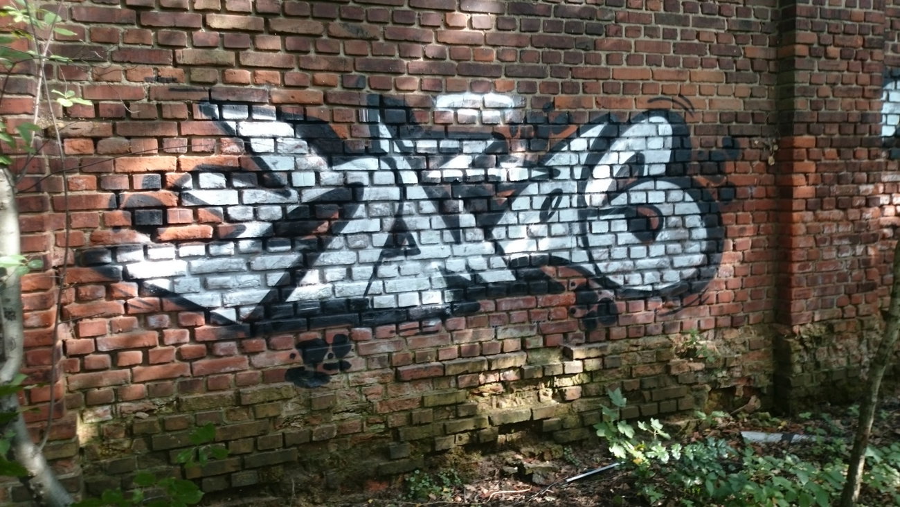Graffiti Wall in Dresden - Photo by cheesy - Hmas