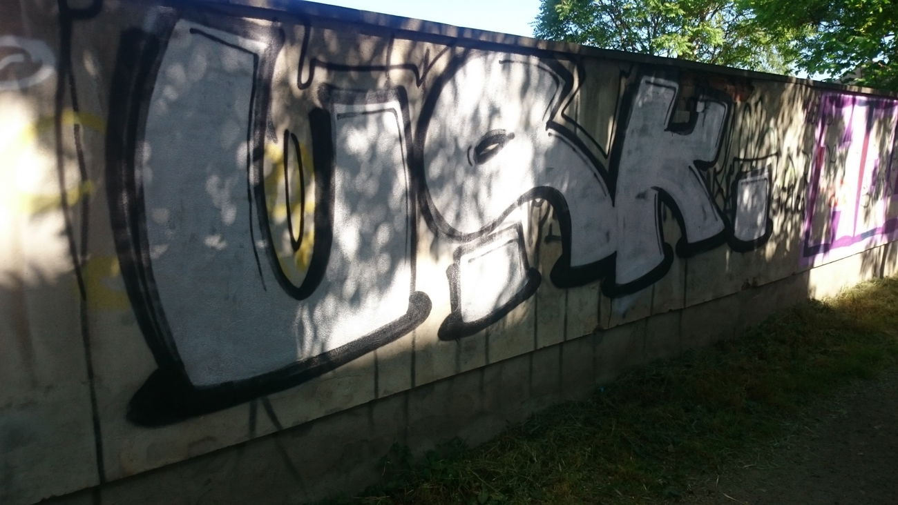 Graffiti Bombing in Dresden - Photo by cheesy - usk