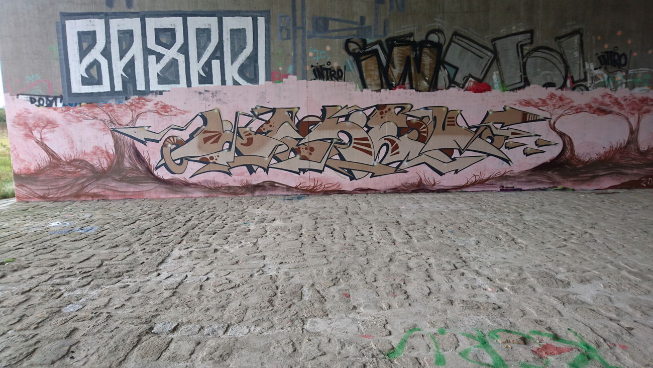 Graffiti Wall in Dresden - Photo by cheesy - Leben